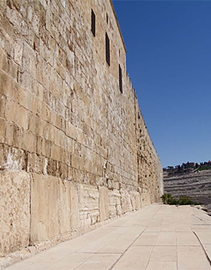 Foundation background