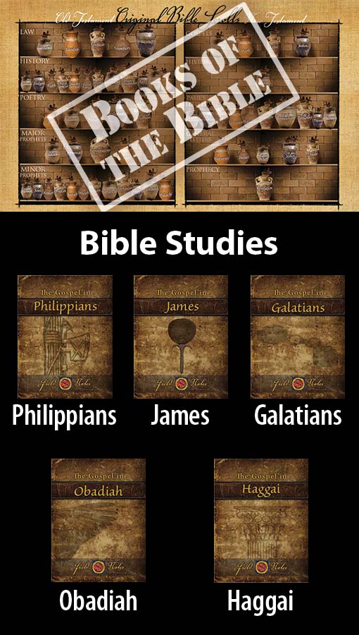 Bible Studies screenshot