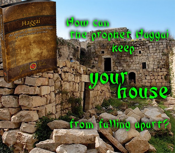 Summer Bible Study Discover more of God