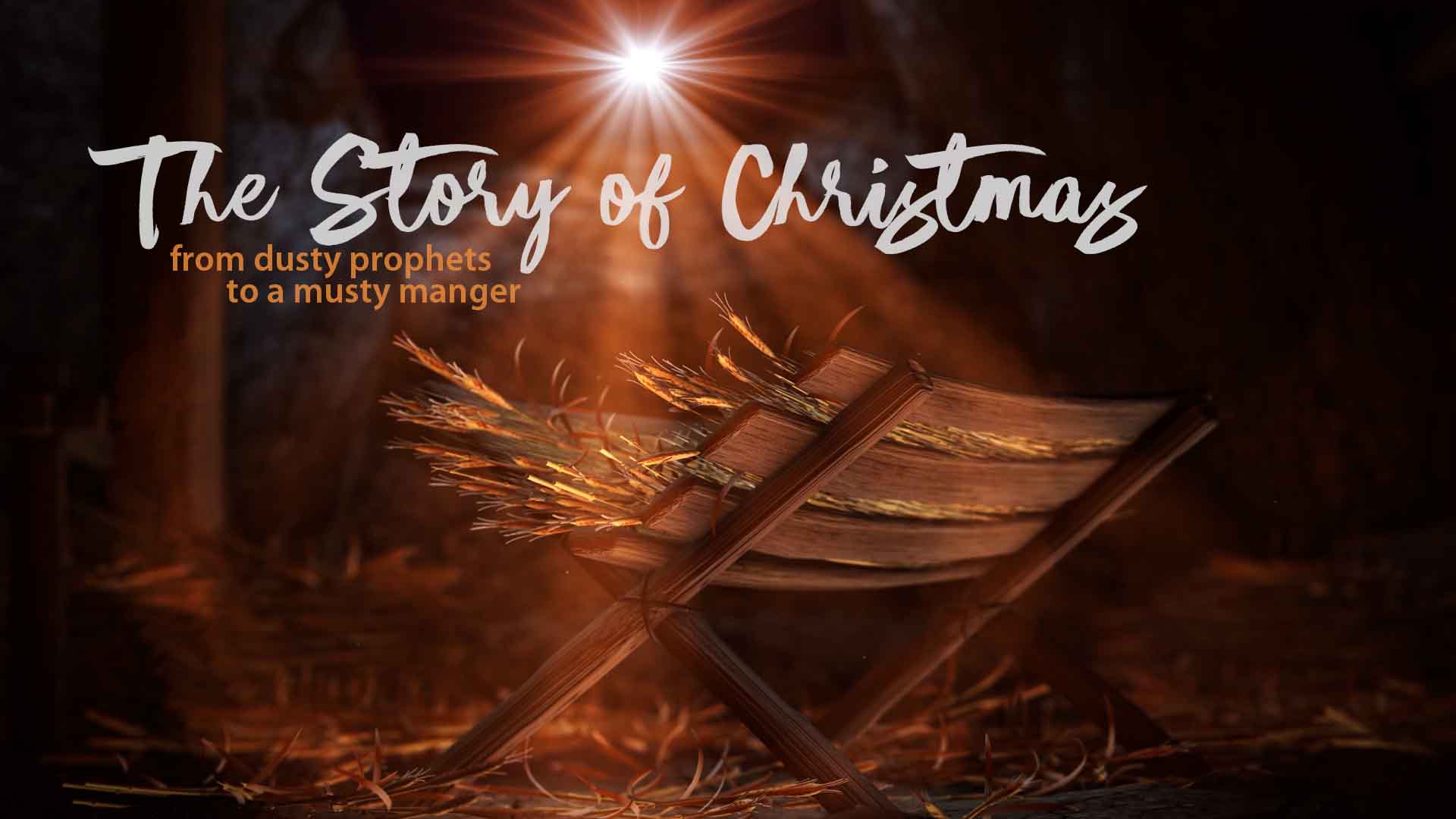 TSoC hero image – web