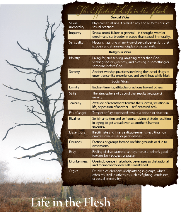 Original Field Notes diagram: the effects of life in the flesh beside a barren tree