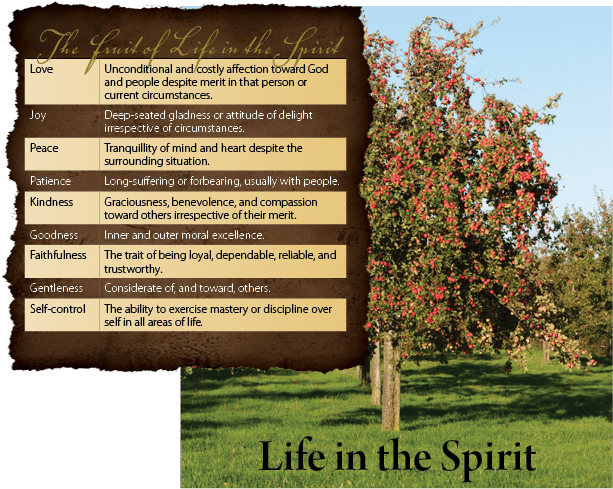 Original Field Notes diagram: the fruit of life in the Spirit beside a fruitful tree