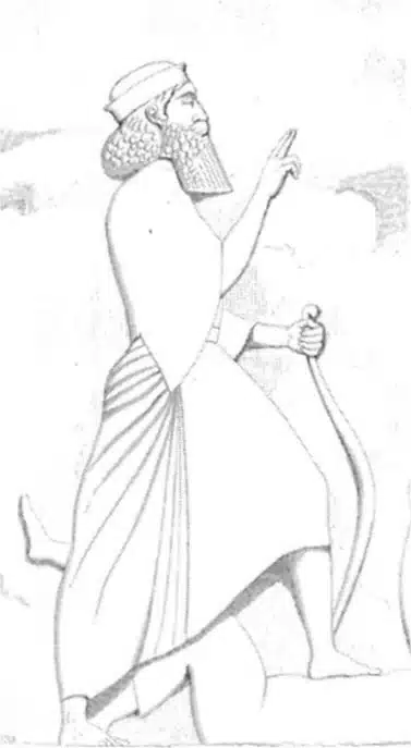 Study drawing representing Darius I
