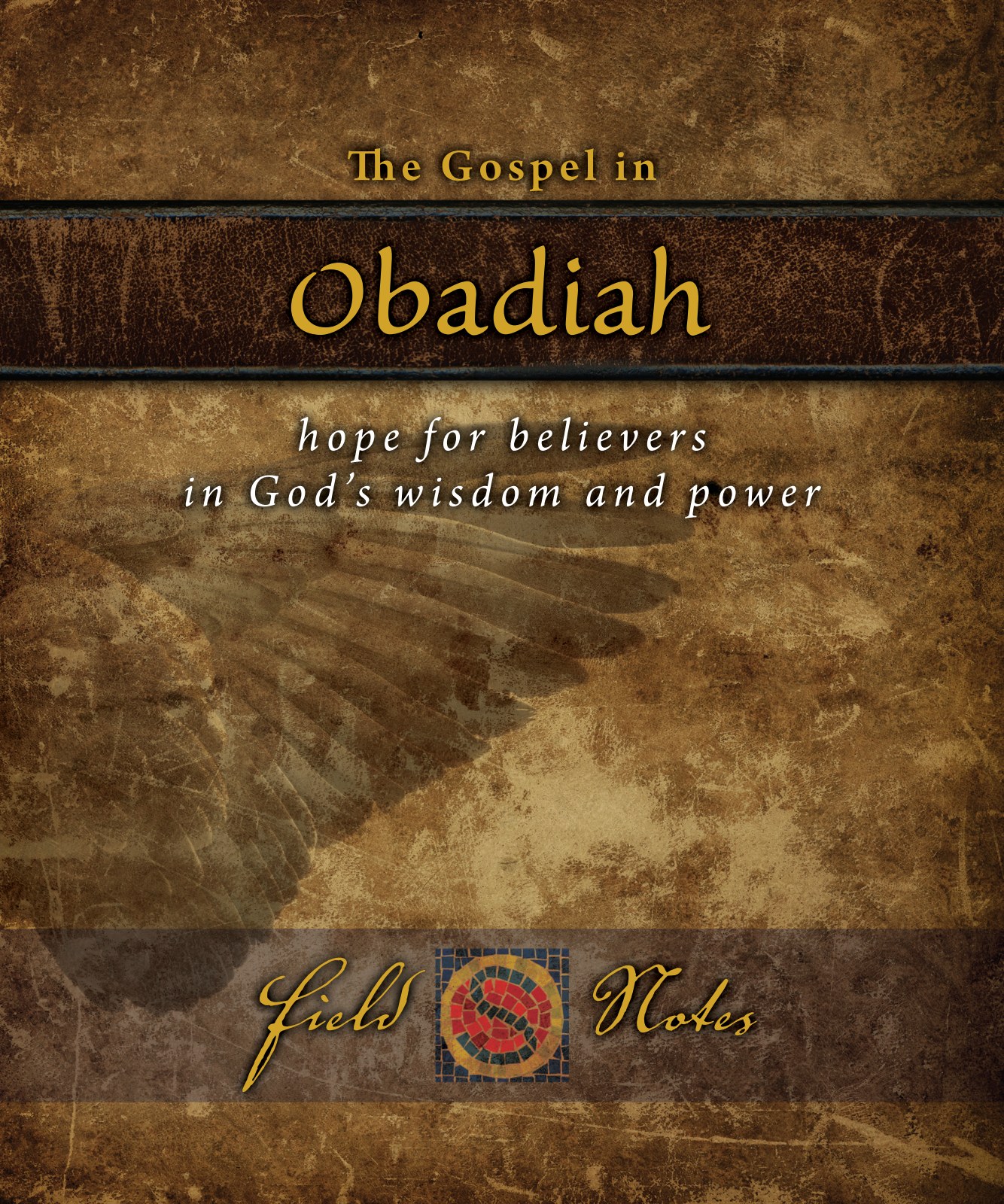 The Gospel in Obadiah Field Notes cover